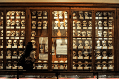 Who wants to adopt a Mütter Museum skull?