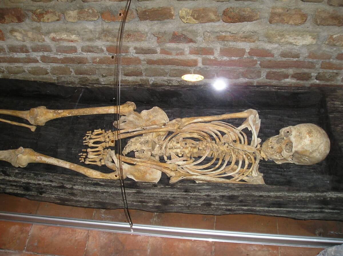 Skeleton found in backyard of sleepy South Jersey town