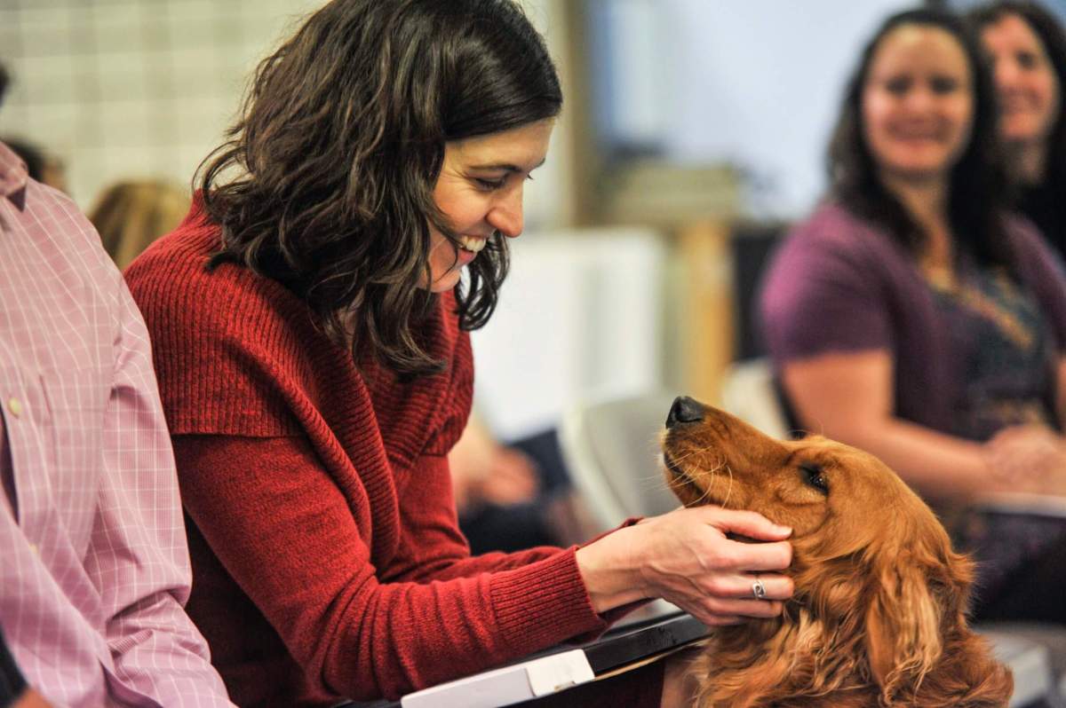 Three dogs graduate from Penn Vet Working Dog Center