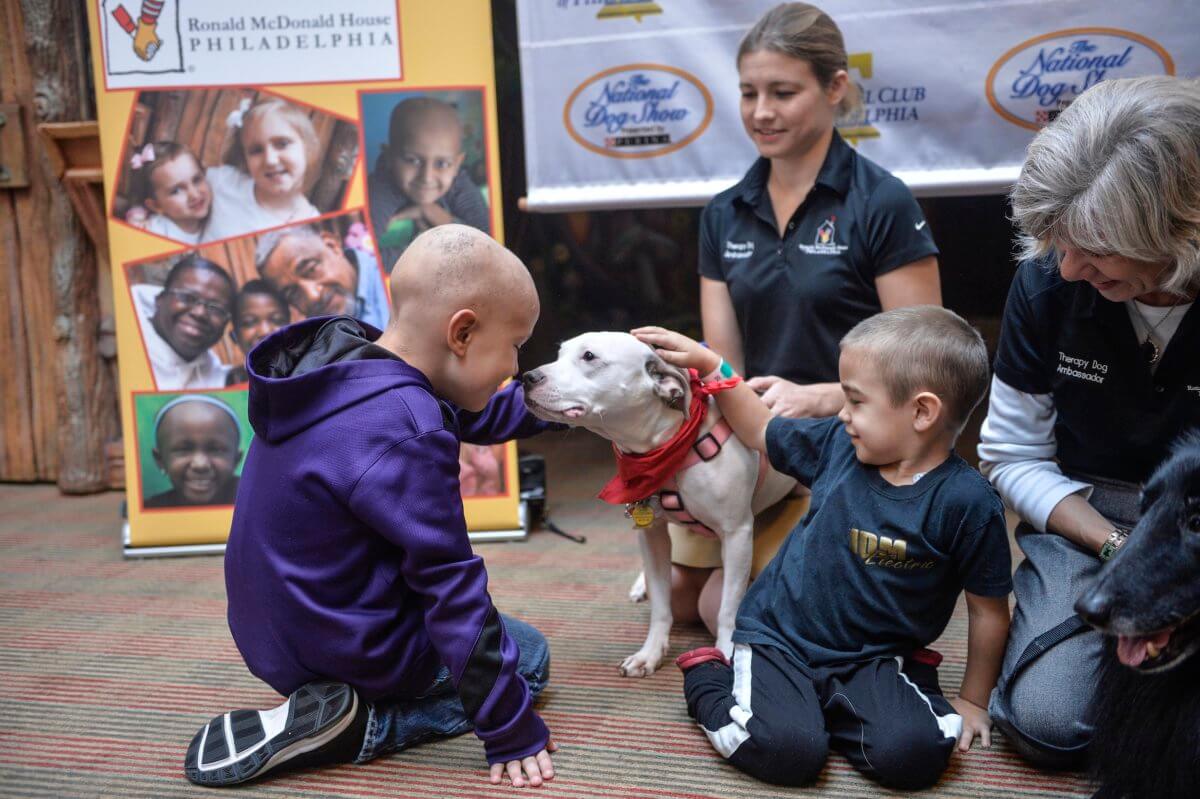 National Dog Show therapy dogs visit youngsters in recovery