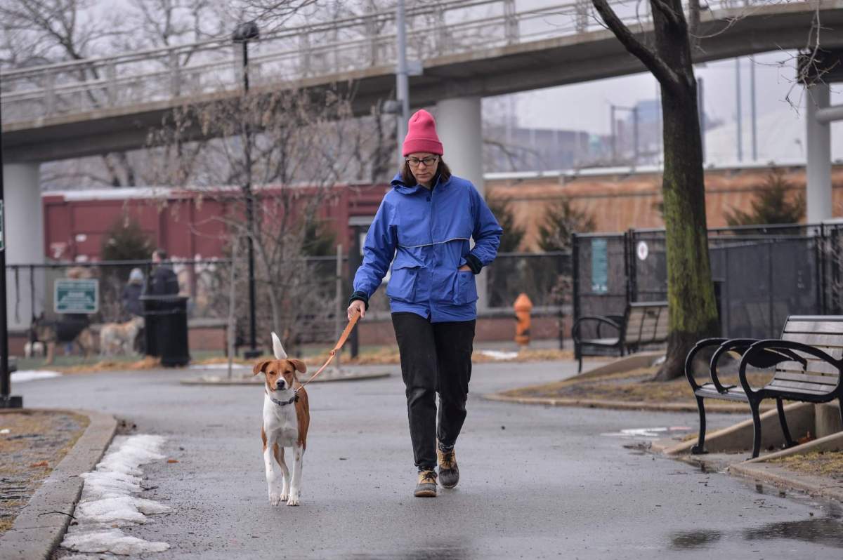 Watch for salty sidewalks, doggie docs warn