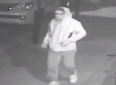 Caught on tape: man steals surveillance cameras