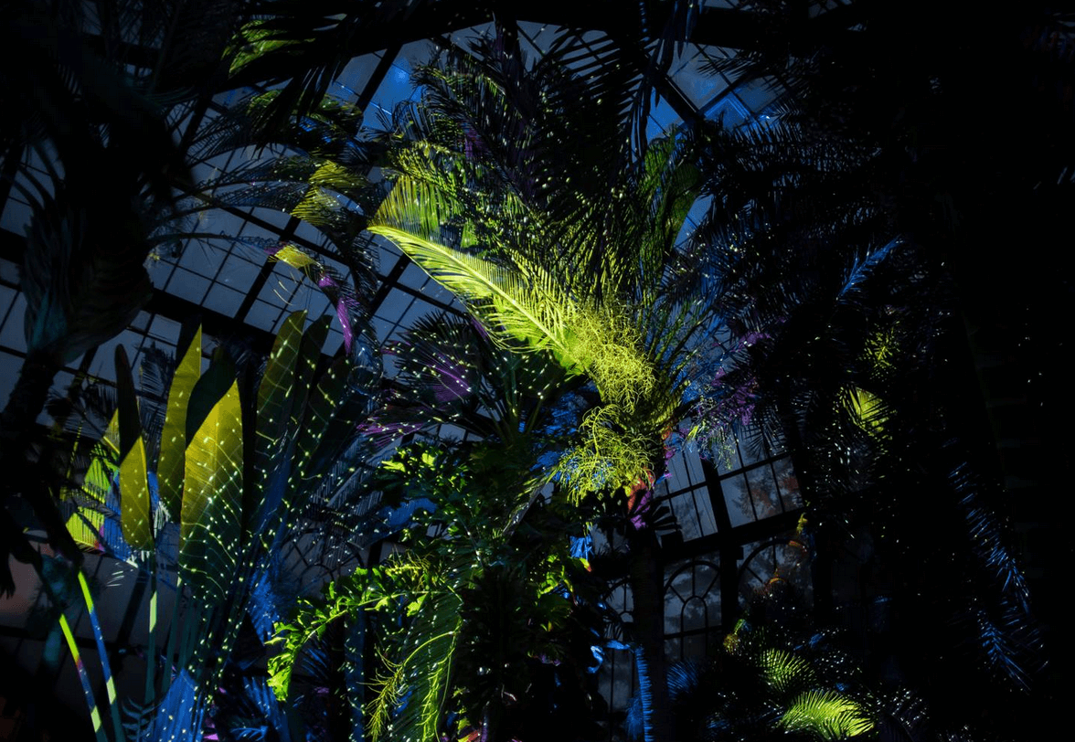Nightscape at Longwood Gardens and five more art adventures