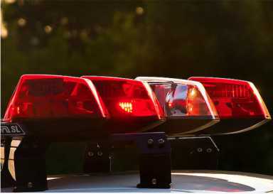 Officers kill bulldog that bit kids in West Philly