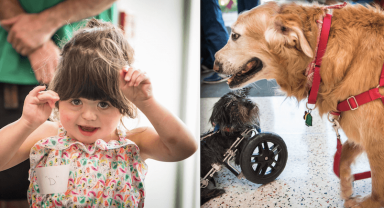 For kids and dogs with facial differences, a party with a purpose