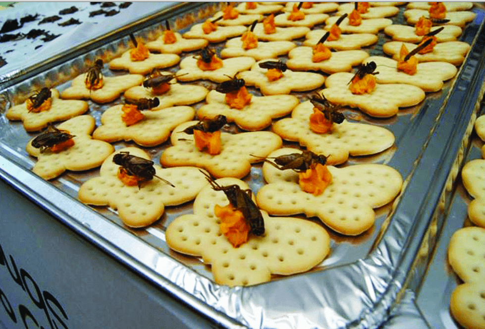 Eat a bug, save the world at Greenfest Philly