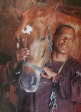 Urban cowboy cedes horses to PSCPA