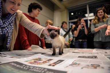 Photos: Uber and PSPCA bring insanely cute kittens to Philly offices