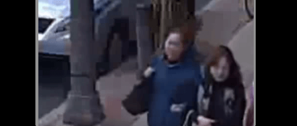 Cops: Chinatown pickpockets stole $8,200 from purse