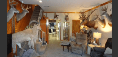 PHOTOS: Philly home packed with deer heads up for sale