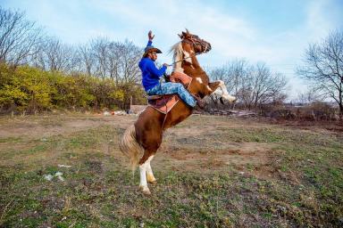 Urban cowboys in need of a home