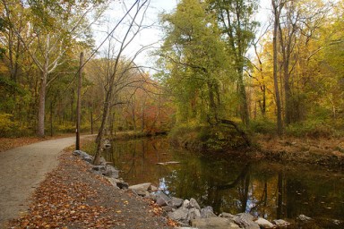 Update: Police release details on woman’s skeleton found in state park