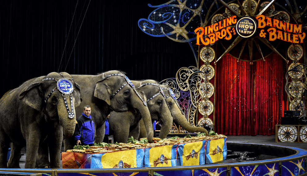 ‘Legends,’ will be last performance for Ringling Bros. elephants