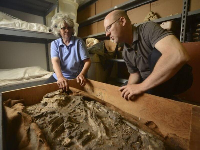 Penn Museum mummies rattled by nearby demolition site
