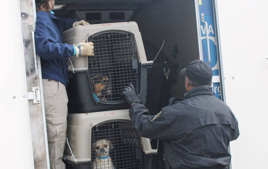 PSPCA removes 15 dogs from Holmesburg home