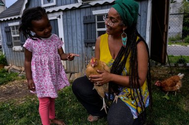 Backyard chicken farmer gives City Hall a pecking