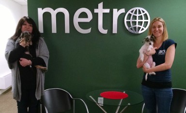 PHOTOS: Metro invaded by puppies from PSPCA, Uber