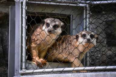 Philadelphia Zoo
