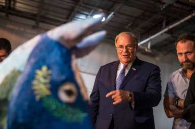 Hee-haw! Painted donkeys to welcome Dems to DNC