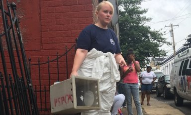 PSPCA discovers 33 cats inside Frankford rowhome