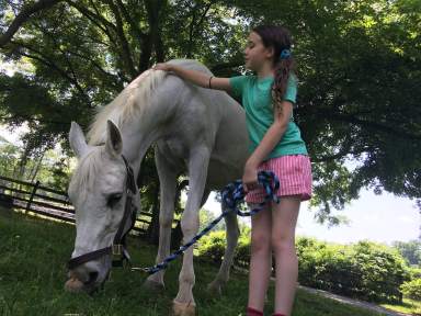 Lily, the abused pony adopted by Jon Stewart, dies after fall