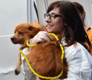 Pup survivors of West Virginia floods brought to Philly