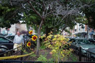 Neighborhood Guide: Queen Village