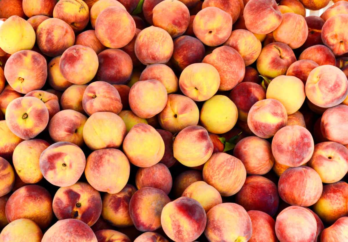 Getting Peachy-keen in August