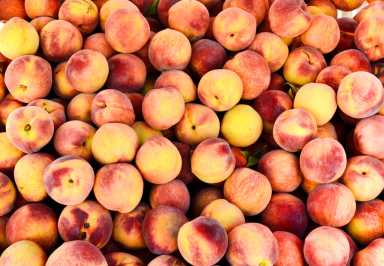 Getting Peachy-keen in August