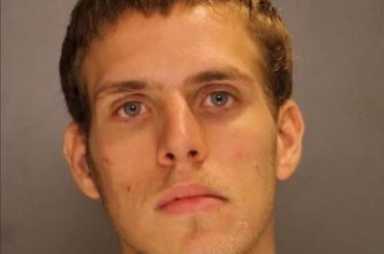 Man broke into farm for sex with mini horse: Police