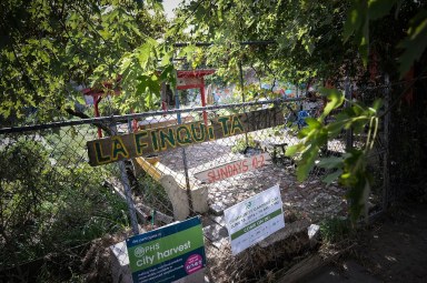 Philly’s urban gardeners look to harvest City Hall’s support