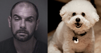 Police: New Jersey man beat dog to death, claimed it fell