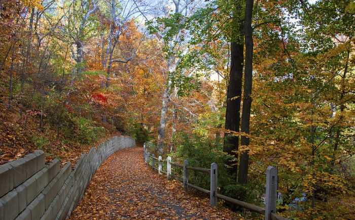 fall foliage philly