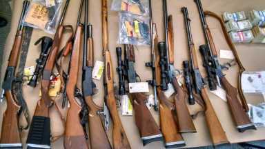 Police seize marijuana plant worth $50K, 15 guns in West Philly raids
