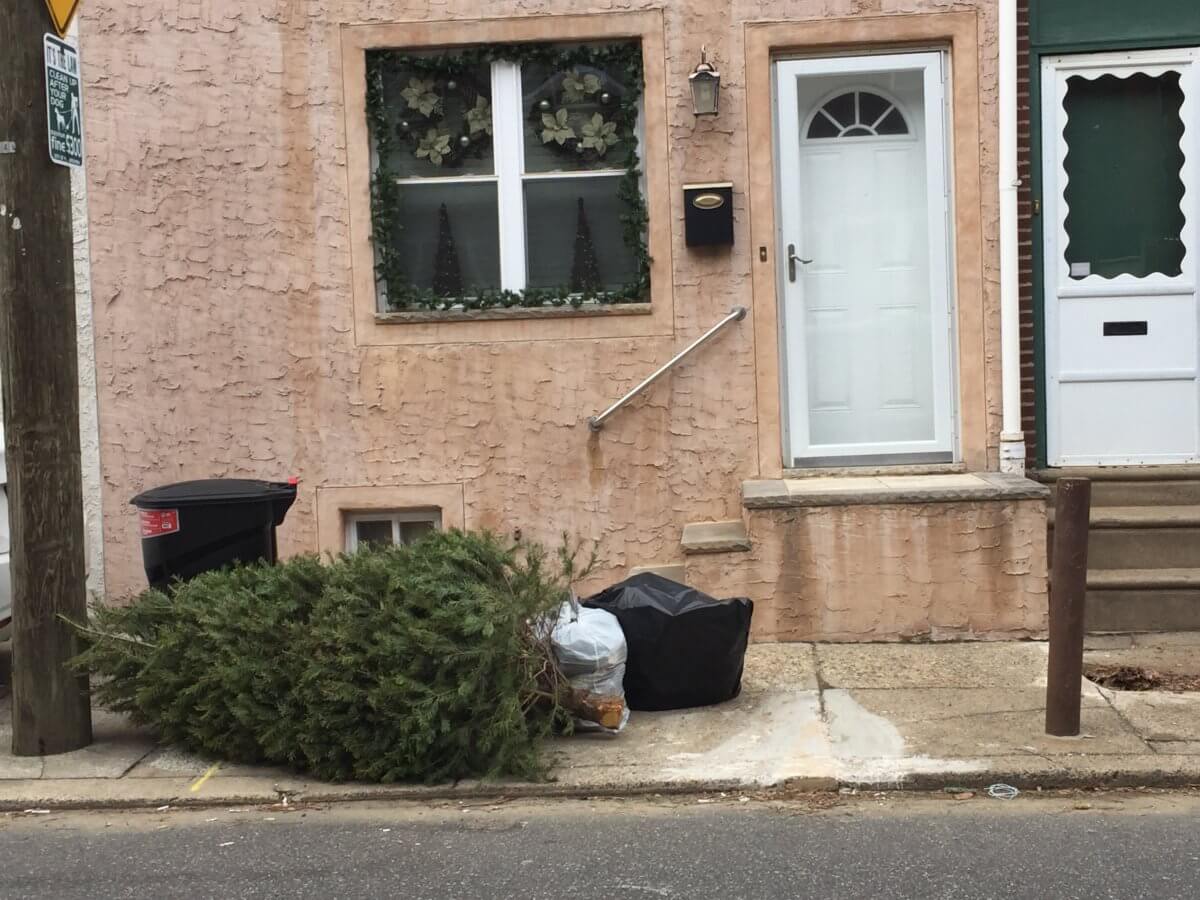 Why you should recycle your Christmas tree in Philly