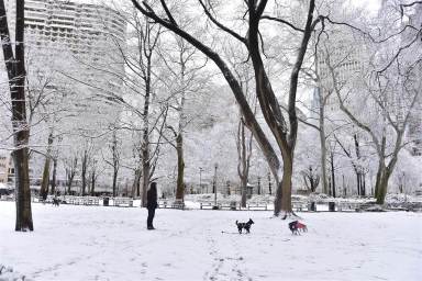 PHOTOS: Kevin Hart and the rest of Philly enjoy the snow