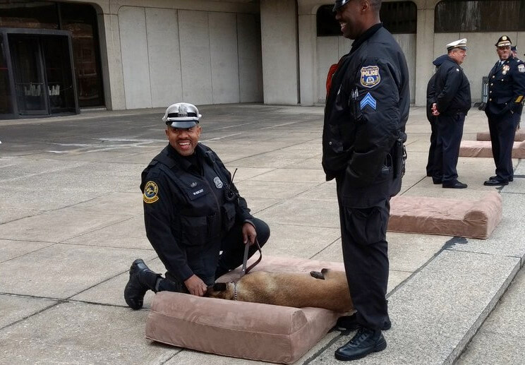 Philly Police K-9 dogs will rest easy in new donated beds