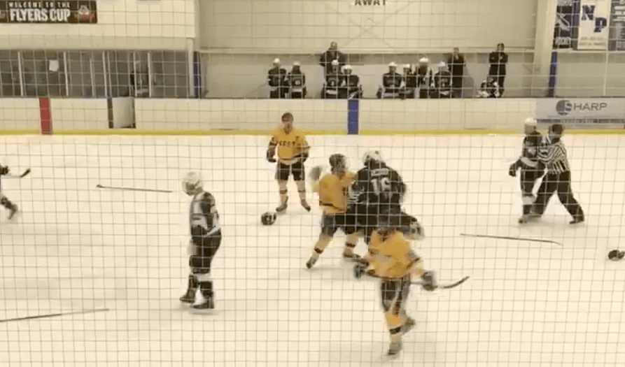 High school hockey game turns into brawl on the ice