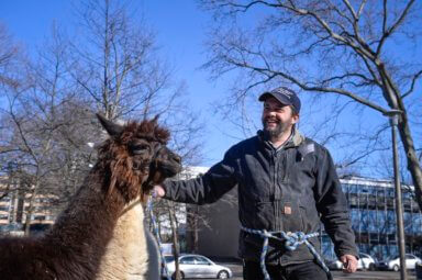 Activist farmer and his alpacas battle agribusiness