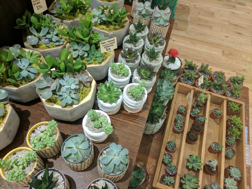Mother's Day gifts