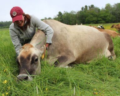 Scholarship recipient Robin Kerber spends time with her favorite Jersey cow, Tina, at Pennypack Farm.