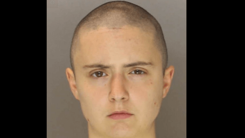 Philly counterprotest woman charged with allegedly striking police horse at