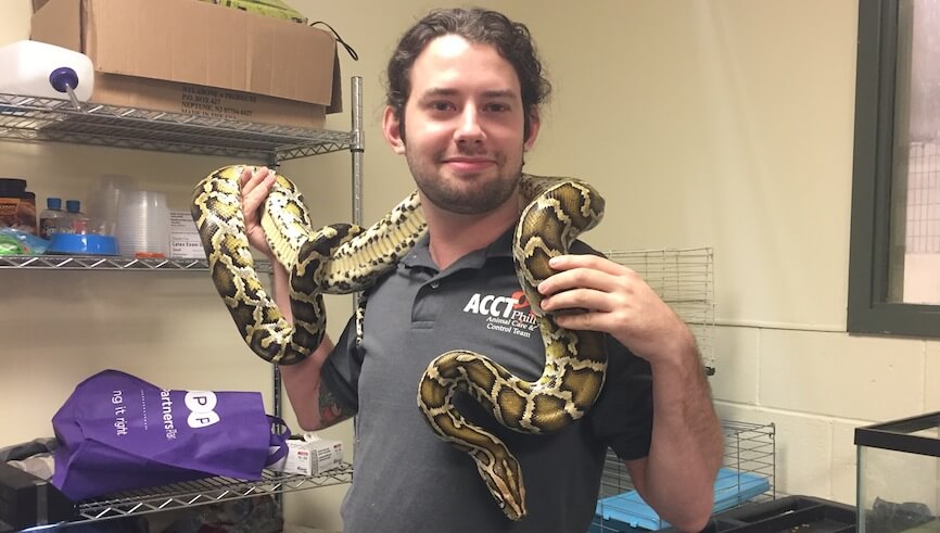 7-foot python found in South Philly