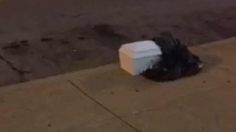 Child’s casket, human organs found on North Philly sidewalk