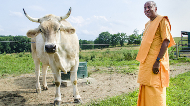 Philly yoga and meditation center links city dwellers back to nature