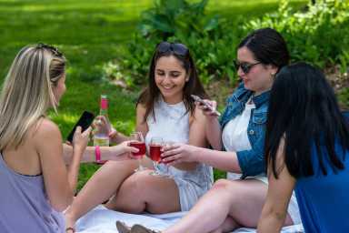 Summer Camp with alcohol? Yes, please
