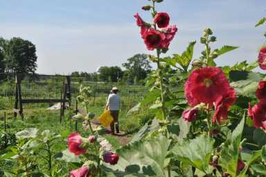 Bartram's Garden | Provided