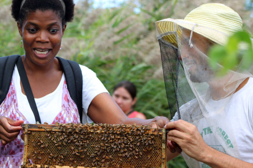 Get up close and personal with bees at the Philadelphia Honey Festival 2017. | Sara Plonski