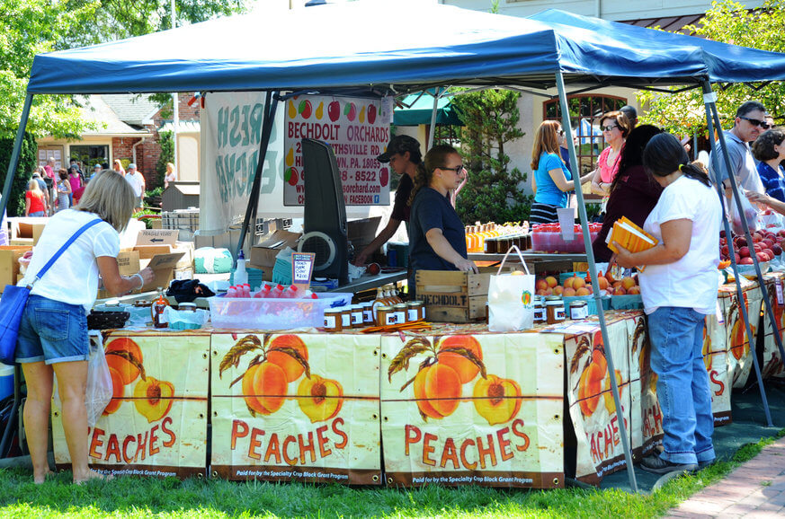 Be sure to check out the Linvilla Orchards Peach Festival. | Provided