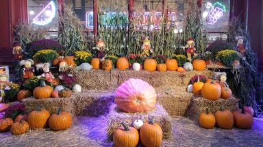 Don't miss the Reading Terminal Market Harvest Festival this weekend. | Provided